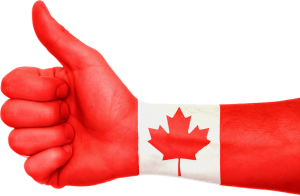 Canadian Visa Professionals