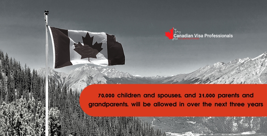 Canadian Visa Professionals - Flag